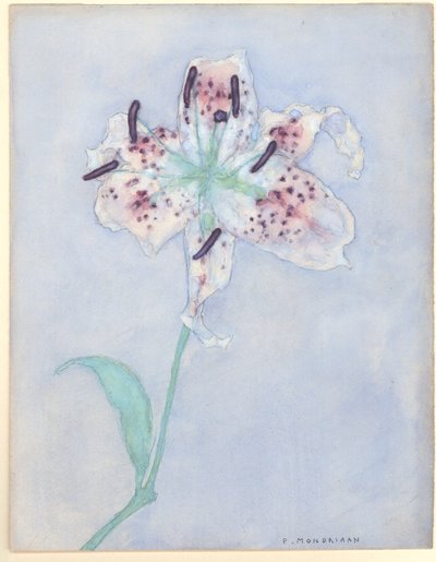 Lily, after 1921 by Piet Mondrian